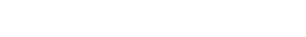 Citadel
